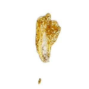 Biodegradable Glitter Flaxseed Gel